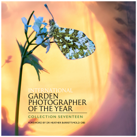 IGPOTY Collection 2024 book cover