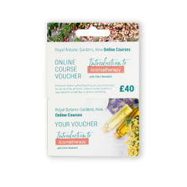 Royal Botanic Gardens, Kew Online Courses. Introduction to Aromatherapy with Ellen Rowland. £40 voucher.