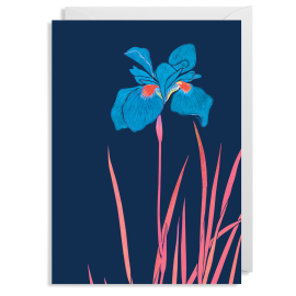 Kew Iris Card
