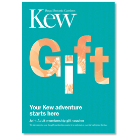 Kew Joint Adult Membership Voucher