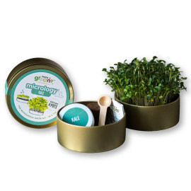 Image of the closed Kale grow tin on the left side and the 2 ends of the tin open to show its content, which includes the sprouting seedlings in one end, a small wooden spoon, the instructions booklet and the seed tin in the other end.