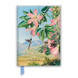 Hummingbird floral notebook

