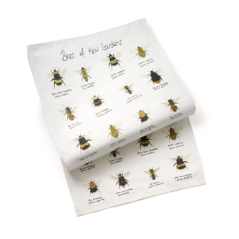 Bees of kew tea towel

