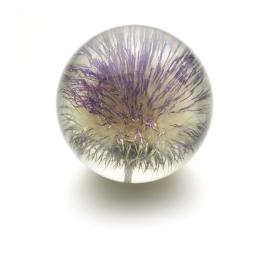 large, thistle, paperweight