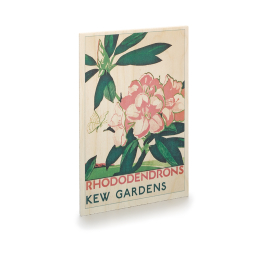 Kew Rhododendrons Wooden TFL Postcard