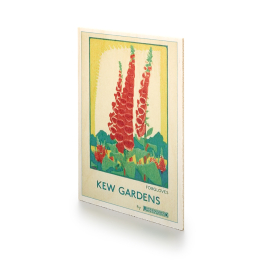 Kew Foxgloves Wooden TFL Postcard