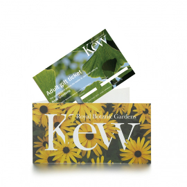 Kew adult gift ticket in paper wallet.