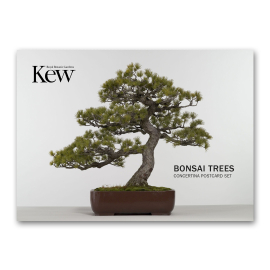 Kew Bonsai Concertina Postcard Set, front