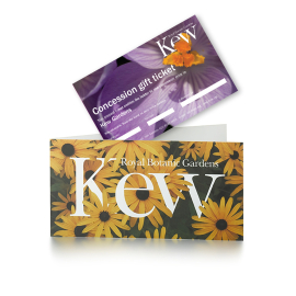 Kew concession gift ticket in paper wallet.