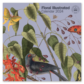 Kew Floral Illustrated Wall Calendar 2024