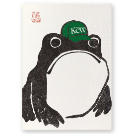 Frog with Kew Cap A3 Print