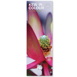 Kew in Colour Slim Calendar 2024
