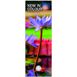 Kew in Colour Slim Calendar 2025, front
