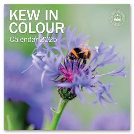 Kew in Colour Wall Calendar 2025, front