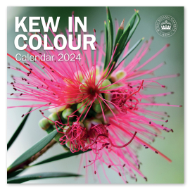 Kew in Colour Wall Calendar 2024