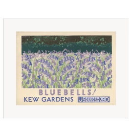 A3 Print featuring the Bluebells at Kew