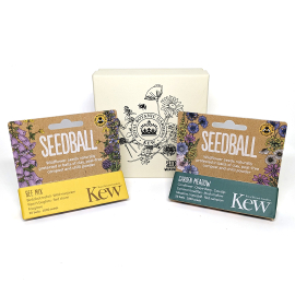 Kew Seedball Pollinators Gift Box