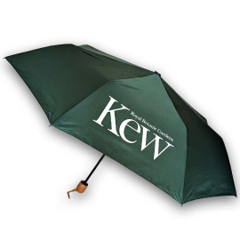 Kew Umbrella, Green