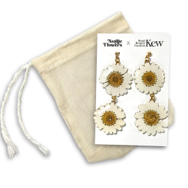 Kew x Nordic Flowers Earrings, Double Daisy