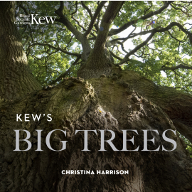Kew’s Big Trees 2nd Edition