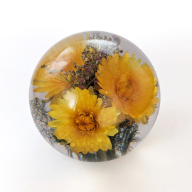 Large Yellow Helichrysum Paperweight