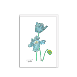 Image of Meconopsis 'Lingholm' Greeting Card.
