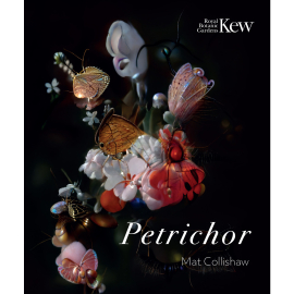 Mat Collishaw Exhibition Guide Front Cover