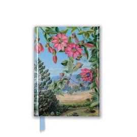 Beautiful foiled pocket notebook featuring Marianne North's artwork 'View in Brisbane Botanic Garden'.