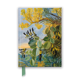 Beautiful foiled pocket notebook featuring Marianne North's artwork 'Flowers of the Flame-Tree and Yellow and Black Twiner, West Australia'.