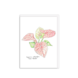 Kew Gardens greeting card featuring illustration of a 'neon robusta' and the name written below it. 