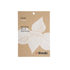 Niwaki Japanese Herb Red Shiso Seeds