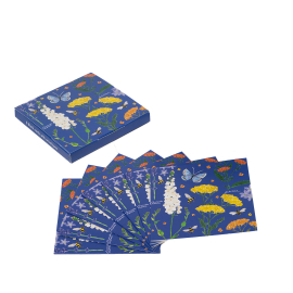 The notecard set with the 8 cards fanned in front of it.