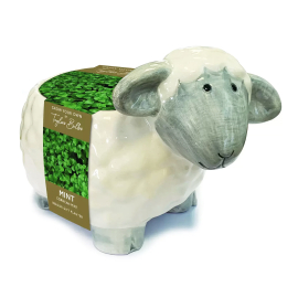 Sheep Indoor Planter, Grow Your Own Corsican Mint