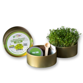 Image of the closed Pak Choi grow tin on the left side and the 2 ends of the tin open to show its content, which includes the sprouting seedlings in one end, a small wooden spoon, the instructions booklet and the seed tin in the other end.