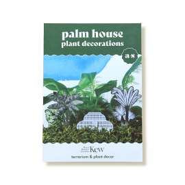 Palm House Plant Decorations. Terrarium and Plant decor.