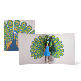 Peacock Pop Up Card