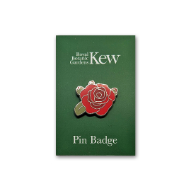 Kew Red Rose Pin Badge