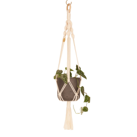 Image of the cream knotted hanger with a potted scindapsus hanging from it.