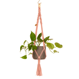 Image of the Pink knotted hanger with a potted Pothos hanging from it.