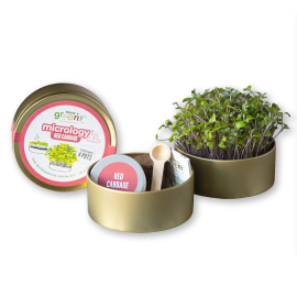 Image of the closed red cabbage grow tin on the left side and the 2 ends of the tin open to show its content, which includes the sprouting seedlings in one end, a small wooden spoon, the instructions booklet and the seed tin in the other end.