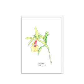 Kew Gardens greeting card featuring illustration of a 'Epicattleya René Marqués' and the name written below it. 