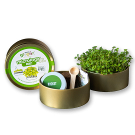 Image of the closed Rocket grow tin on the left side and the 2 ends of the tin open to show its content, which includes the sprouting seedlings in one end, a small wooden spoon, the instructions booklet and the seed tin in the other end.