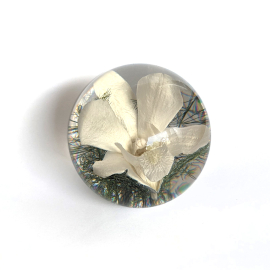 Small White Orchid Paperweight