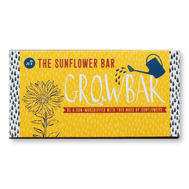 Sunflower seed bar
