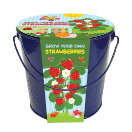 Kids Grow Your Own Strawberries in a Bucket