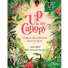 Up in the Canopy - cover