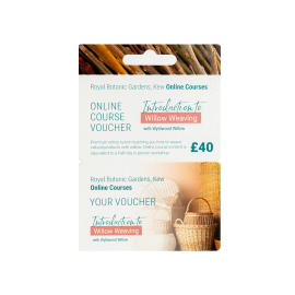 Kew Online Course £40 voucher. Introduction to Willow Weaving with Wyldwood Willow.