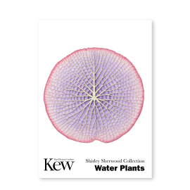 Set of 6 Concertina Water Plants Postcards
