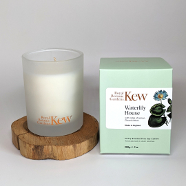 Kew Waterlily House Boxed Candle, Lemon Clove and Musk