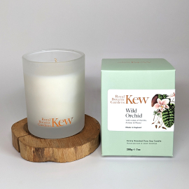 Kew Wild Orchid Boxed Candle, Vanilla Amber and Wood